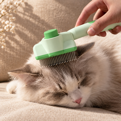 Le Peigne Caresse — Peigne de toilettage et attrape-poils